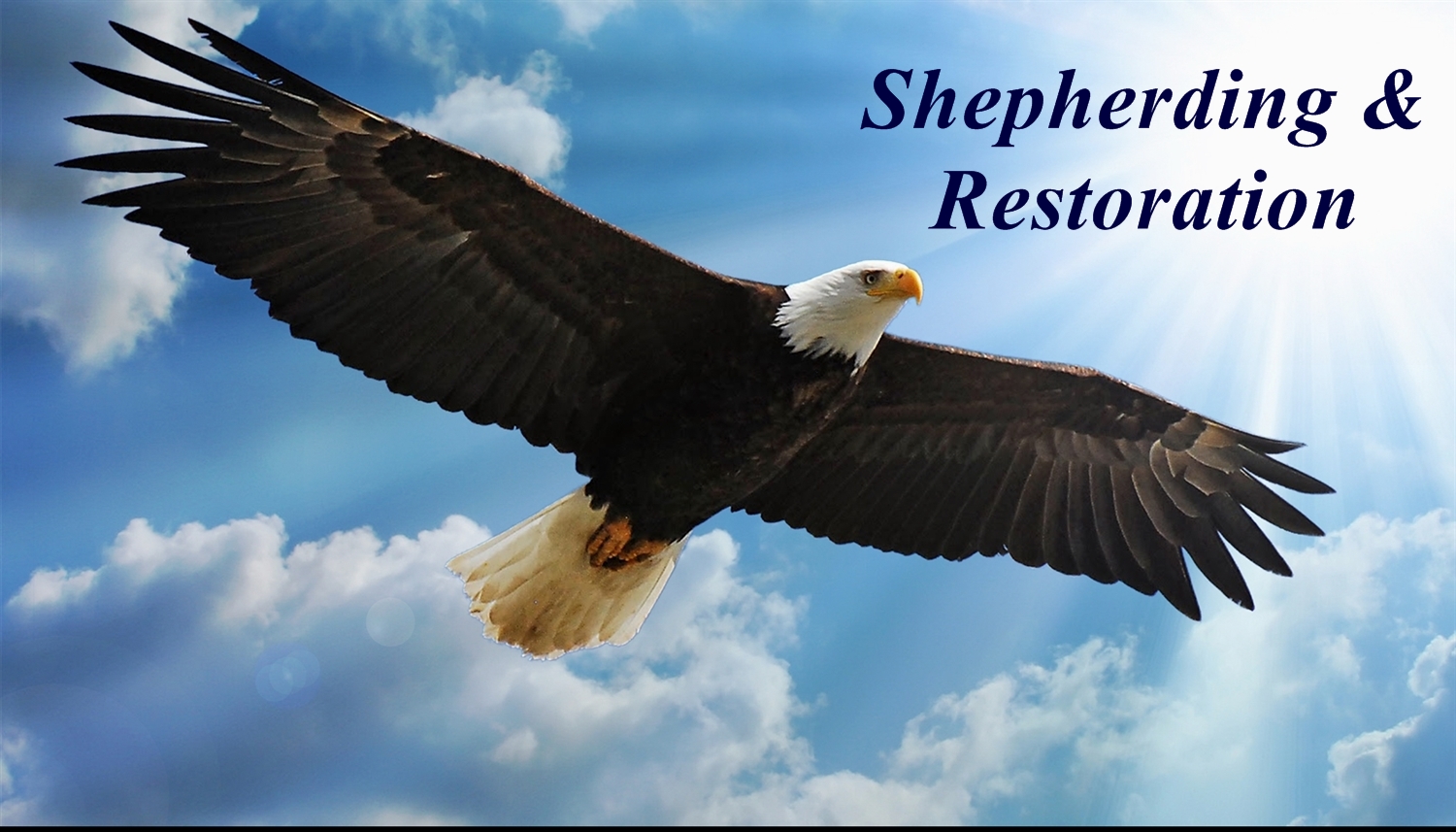 Shepherding & Restoration