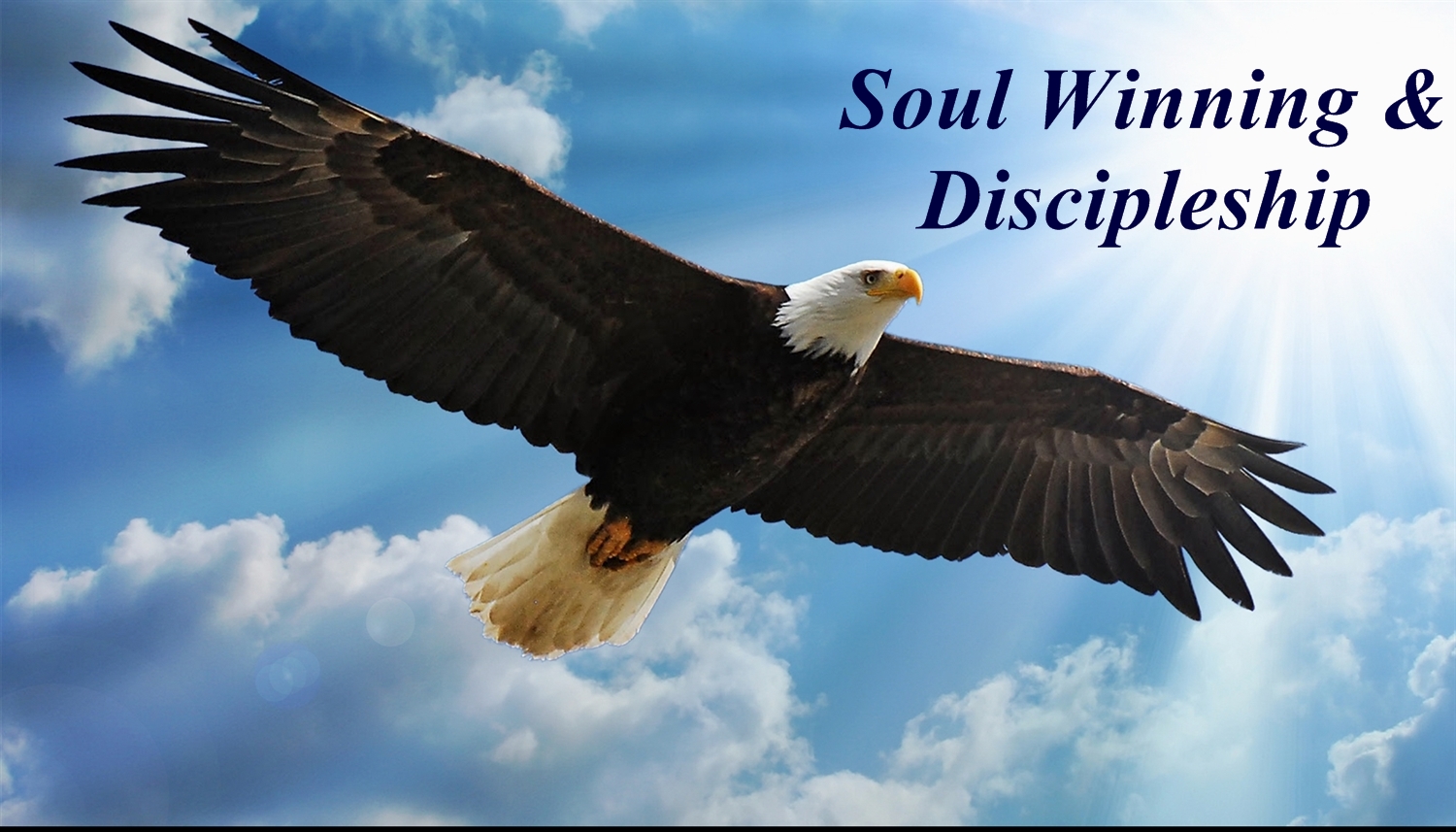 Soul Winning